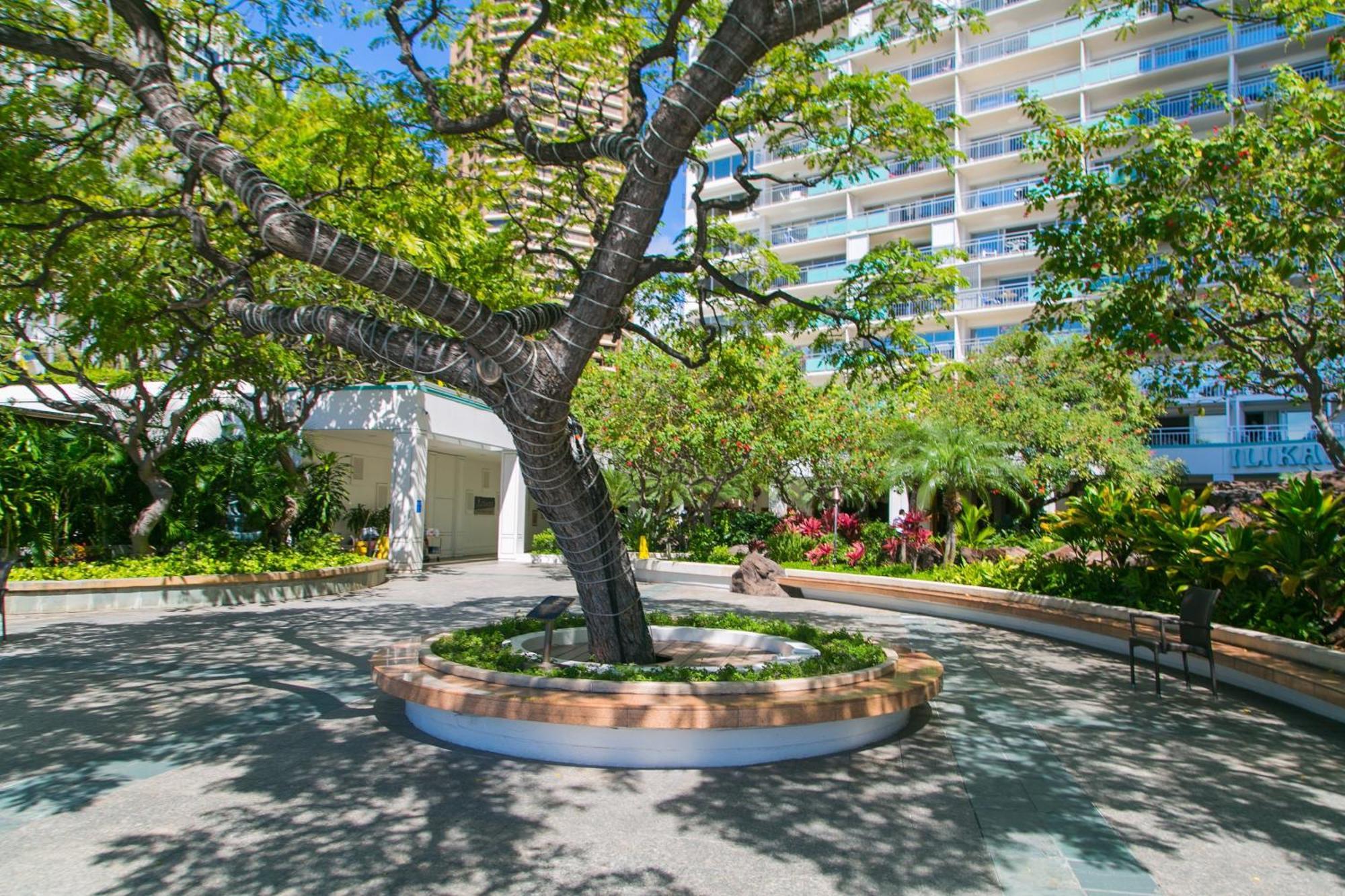 Apartmán Ilikai Tower 1533 Yacht Harbor View 1Br Honolulu Exteriér fotografie